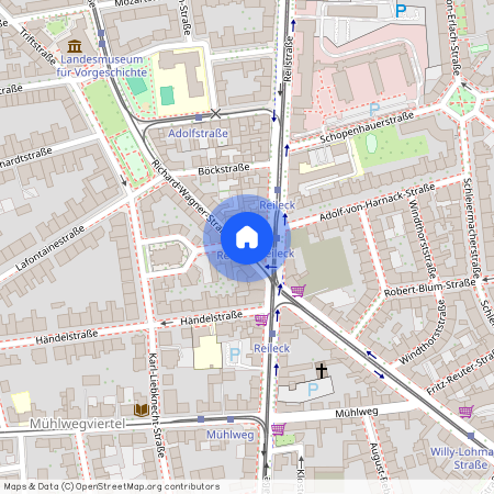 Richard-Wagner-Straße 60, 06114 Halle (Saale)