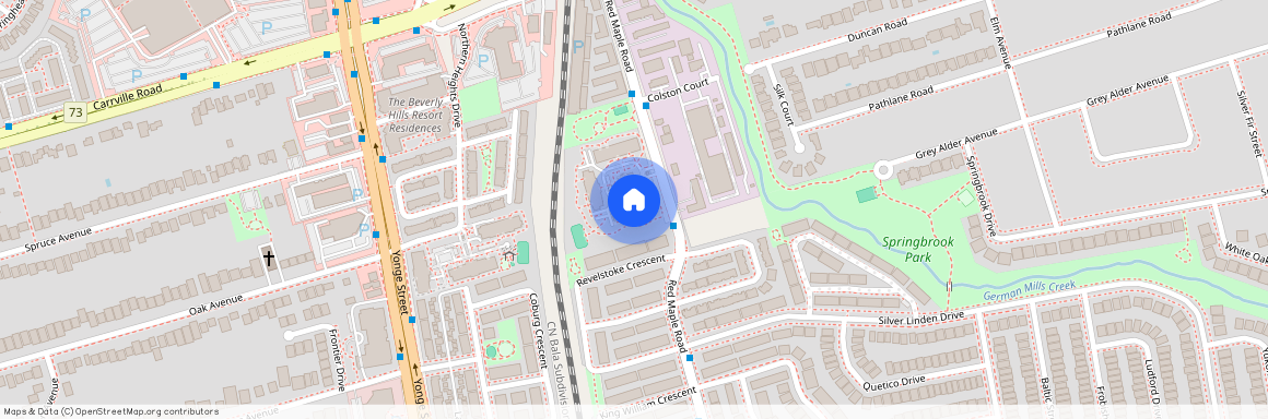 310 Red Maple Road, Richmond Hill