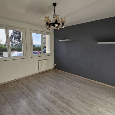 Location Appartement P3 Avec jardin Chalamont - Photo 1