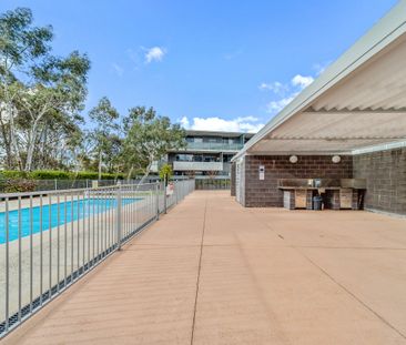 Verve in Bruce - Photo 2