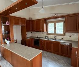 Μονοκατοικία για ενοικίαση - Αφίδνες, - Photo 4