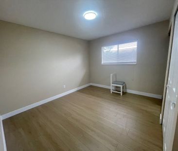 Beautifully Renovated Two-Level Home - Photo 3