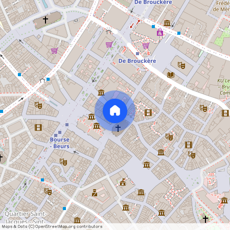 Rue du Marché aux Poulets, 63, 1000, Bruxelles