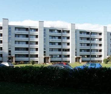 2.5 Zimmer, 55 m², EG - Photo 2