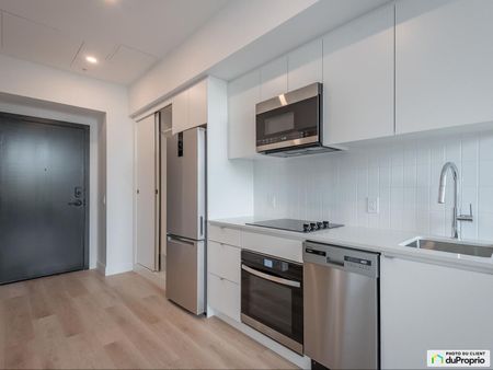 1200, Rue Ste-Élisabeth, Ville-Marie (Centre-Ville et Vieux-Montréal) à louer - Photo 5