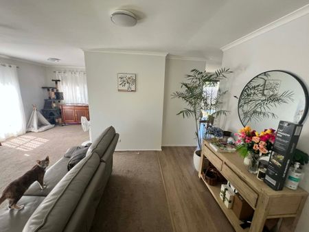 Albany Creek - Photo 2