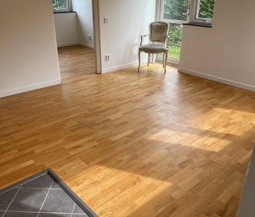 Furugatan, Malmö - Foto 1