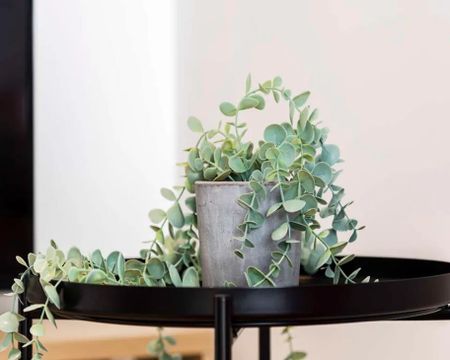 Via Gardone, Milan, Lombardy 20139 - Photo 3