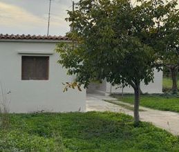 Μονοκατοικία για ενοικίαση - Βέλο, - Photo 6