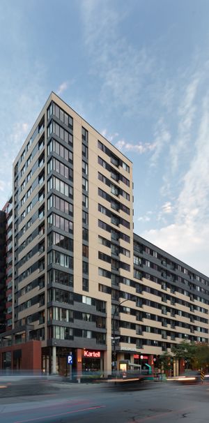 3 1/2 à Louer - Griffintown - Photo 1