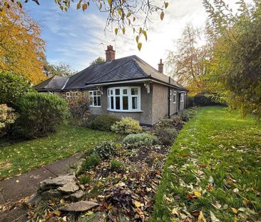 2 bedroom bungalow to rent - Photo 2