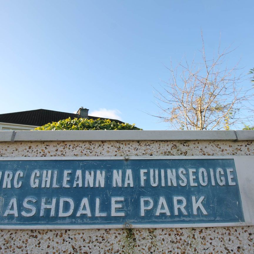 Ashdale Park, South Douglas Road - Photo 1