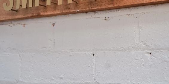 Comfortable Living in a Convenient Location - Photo 3
