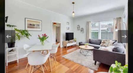 Soaked in Sunshine, Beautiful 3 bedroom home for r - Photo 3