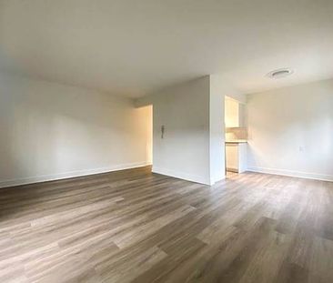 Newly-Renovated 1-Bedroom Apartment - Photo 1