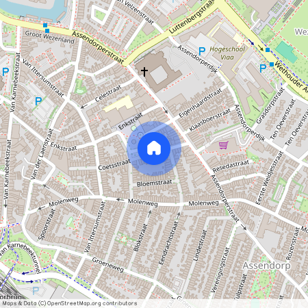 Oud-Assendorp, 8012 VD, Coetsstraat, Zwolle