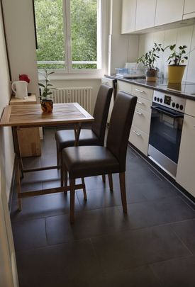 APPARTEMENT 31/2 PIÈCES À BERNE - BREITENRAIN, MEUBLÉ, TEMPORAIRE - Photo 1