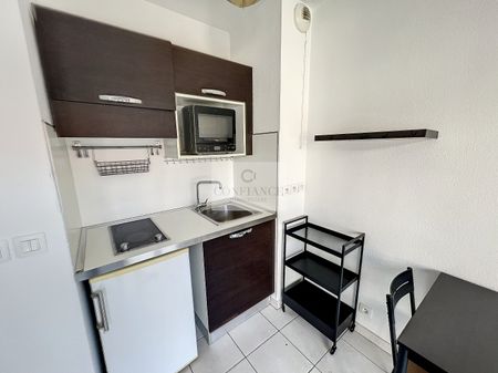 Location Appartement 1 pièce 16m² ST LAURENT DU VAR 06700 - Photo 4