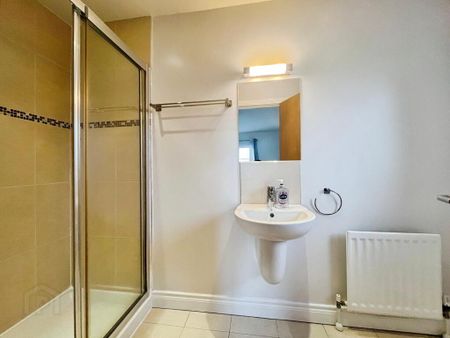 39 Mornington Lane, Lisburn, BT28 2WH - Photo 4