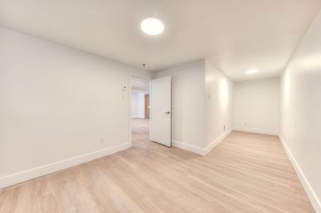 Appartement à louer - Montréal (Mercier/Hochelaga-Maisonneuve) (Hochelaga-Maisonneuve) - Photo 4