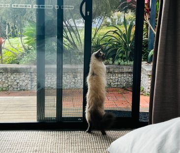 Currumbin Waters - Photo 1