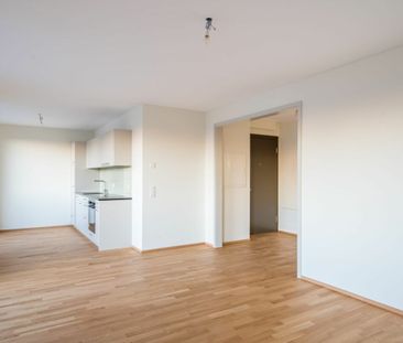 2.5 Zimmer, 5. Stock - Photo 2