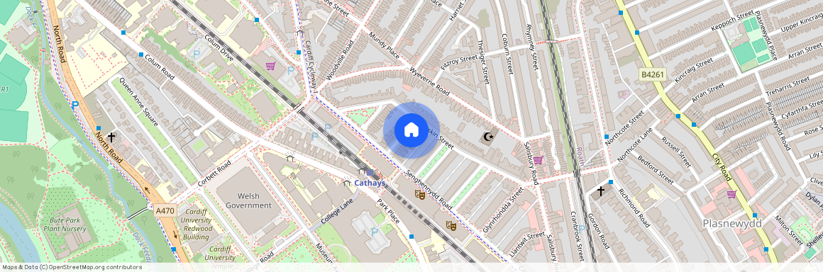 Llandough Street, CF24 4AW, Cathays