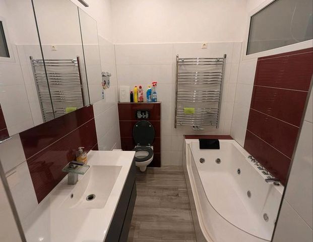 Exklusive 1-Raum-Wohnung in Sangerhausen zu vermieten - Foto 1