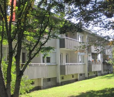 3-Zimmer mit Balkon in Eggenstein-Leopoldshafen - Foto 3