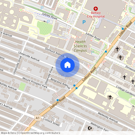 25 Ulsterville Avenue, Belfast, BT9 7AS