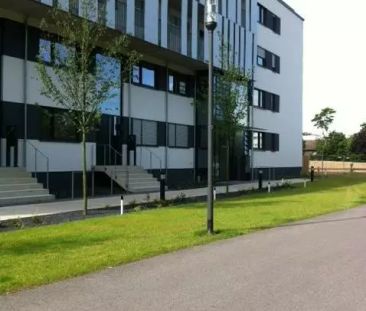 Bargmannstraße 21, 45127 Essen - Photo 6