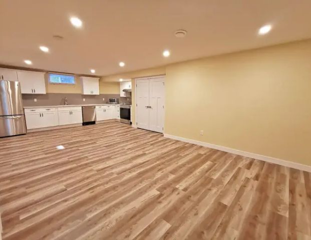 Renovated 2 Bedrooms basement suite in Kameyosek | 3136 67 Street Northwest, Edmonton - Photo 1