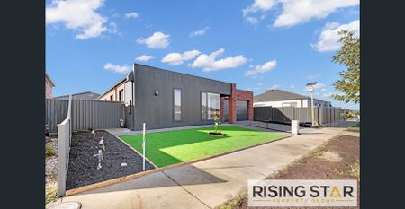 107 Willoby Drive, Alfredton - Brand New Home for Rent - Photo 4