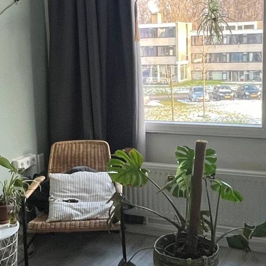 5-2 Unlimited - Photo 1