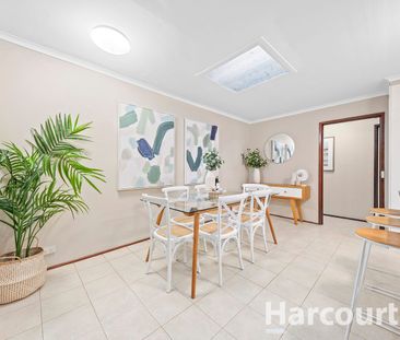 Family Favourite! - Photo 4