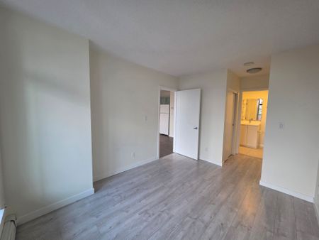 Spacious Open Layout in Gastown! 1 Bed/1 Bath avail December 1st - Photo 2