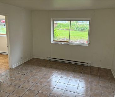 Beau 3 1/2 - Photo 1