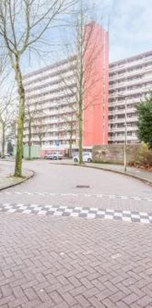 De Koppele 5632 Eindhoven - Foto 1