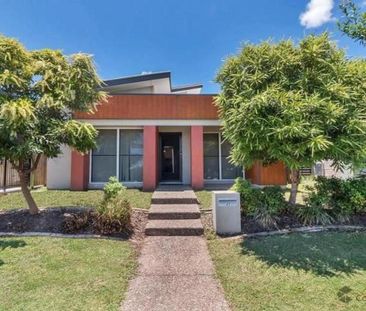 Prime Pimpama Position – Opportunity Awaits! - Photo 1