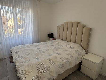 Location Appartement 3 pièces 52m² MULHOUSE 68200 - Photo 4