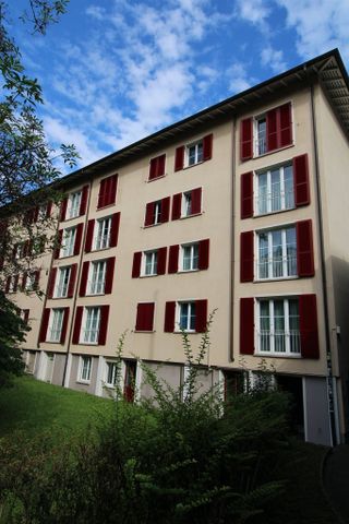 Schöne 1-Zimmerwohnung im Lehenmattquartier - Foto 4