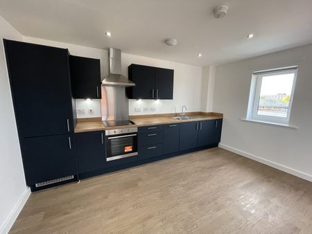 The Molina - Photo 5