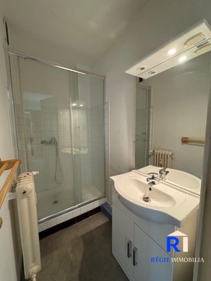 Location Appartement 2 pièces 43m² GRENOBLE 38100 - Photo 1