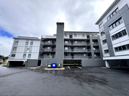 Be First to Live Here! Freshly Renovated 3 Bedroom Apartment - Photo 2