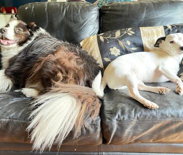 Noble Park - Photo 1