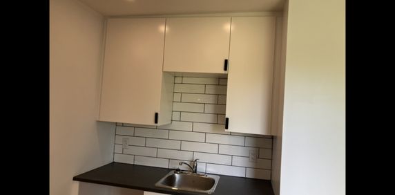 Magnifique Grand Loft Rénové à Montréal - Photo 2