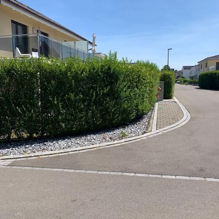 Doppeleinfamilienhaus in Lengwil - Photo 4