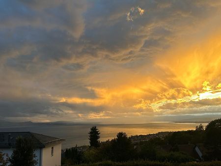 LA CROIX (LUTRY) – EXCEPTIONAL APARTMENT WITH VIEW OF THE LAKE AND THE ALPS - Photo 3