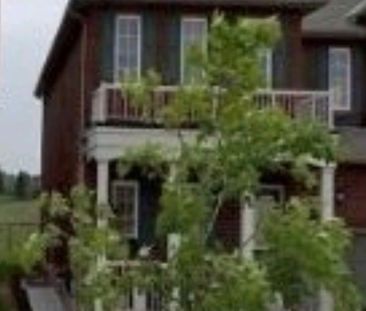 For Lease - 78 Jordensen Drive, Brampton, Ontario - Photo 5