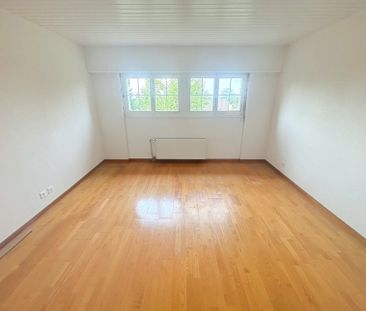 Charmante villa rénovée de 5.5P au calme absolu avec une belle vue - Photo 4